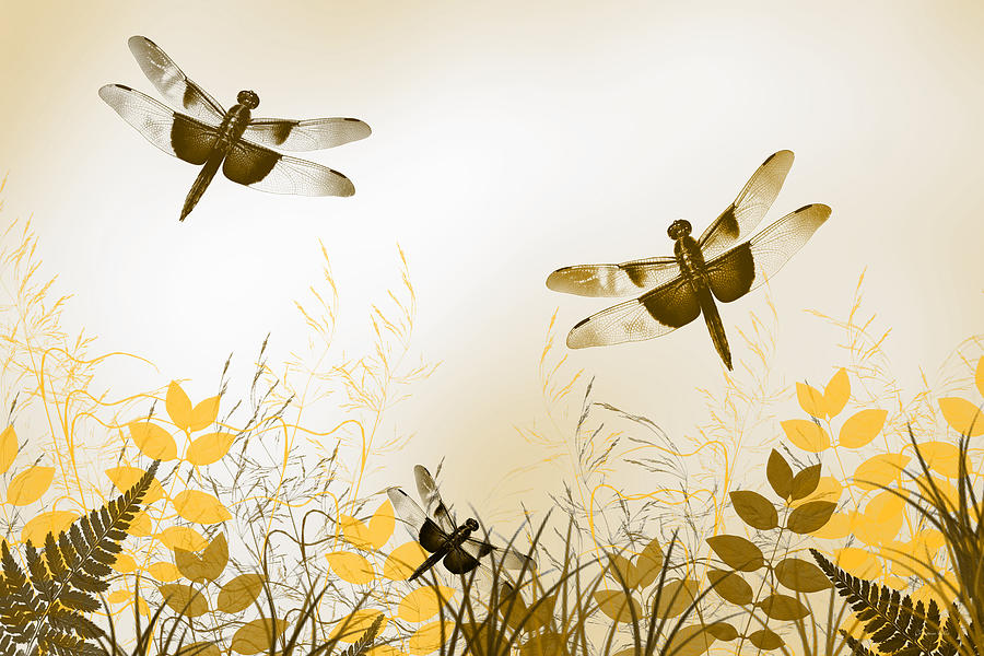 Gold Dragonfly Art Mixed Media by Christina Rollo