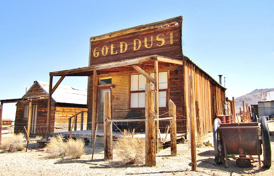 Gold Dust Photograph by Marilyn Diaz