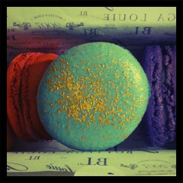 Gold Dusted Macaroon Photograph by Joanie Coyote