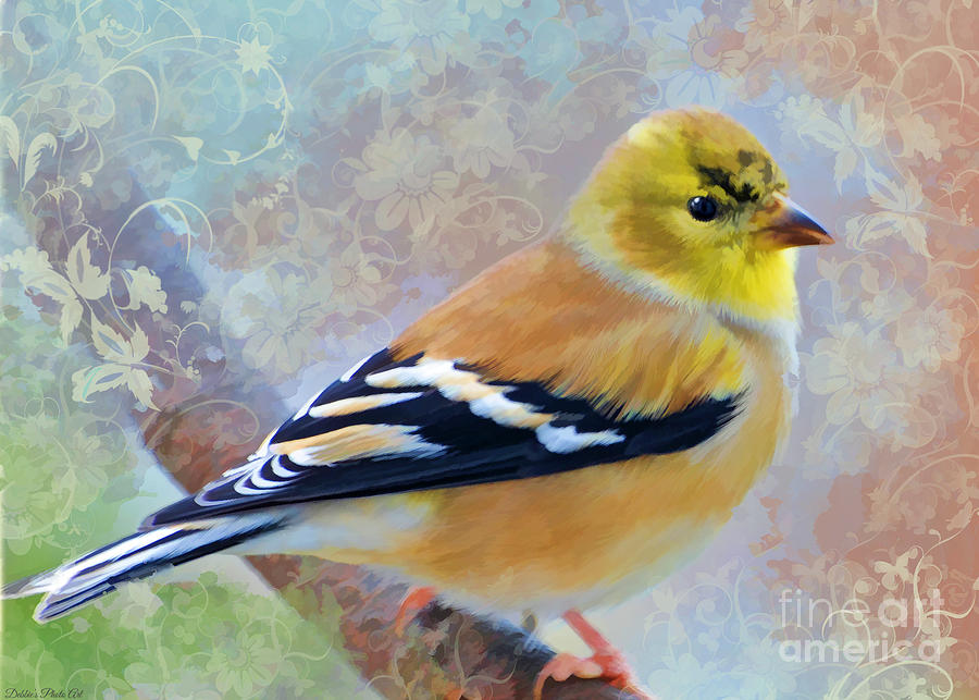 Gold Finch - Digital Paint and Decorations Photograph by Debbie Portwood