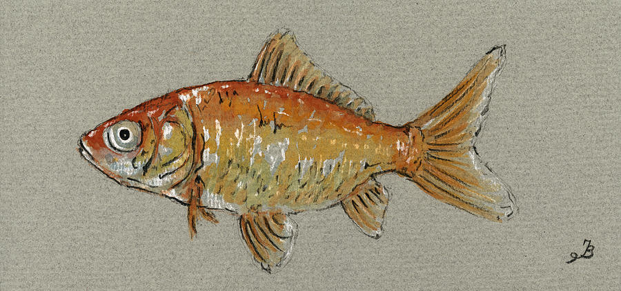 Wildlife Painting - Gold fish by Juan  Bosco