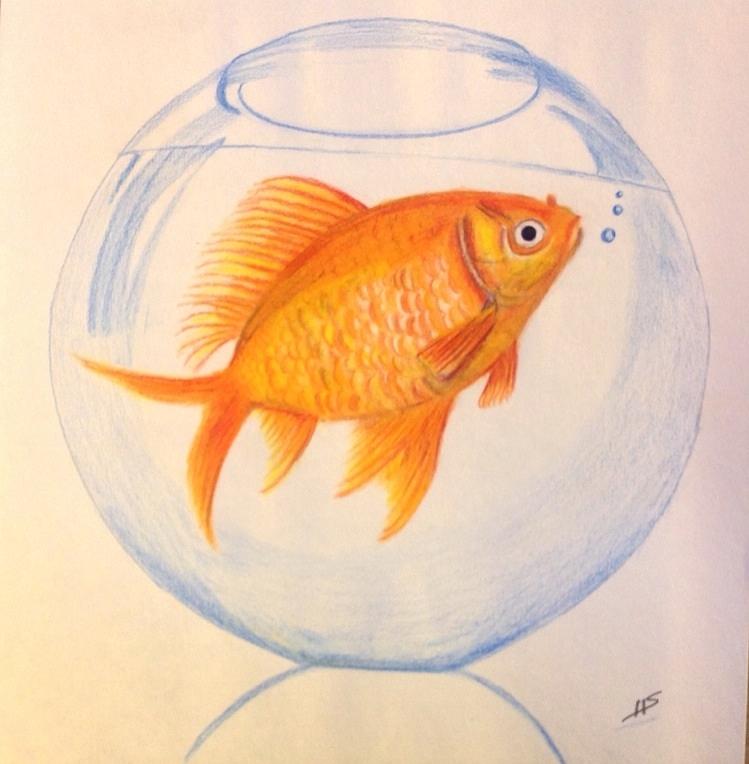 Gold fish Painting by Shanthi Anand - Pixels