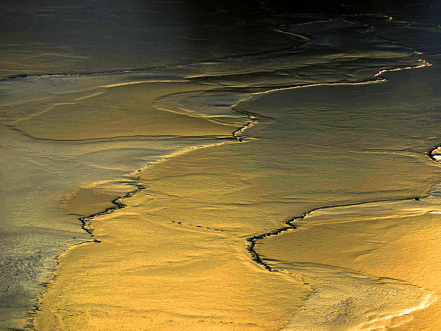 Gold Flood Photograph by Dennis James Pixels