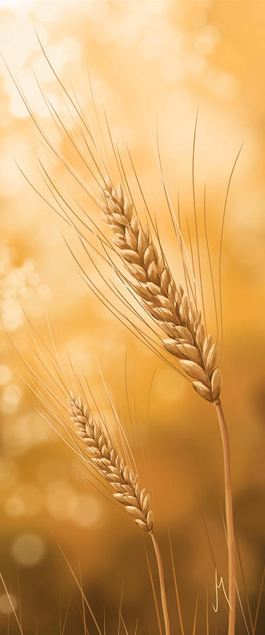 Gold grain Digital Art by Veronica Minozzi