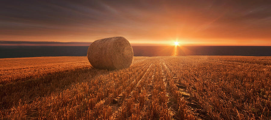 Sunset Photograph - Gold Harvest by Marcin Krakowski