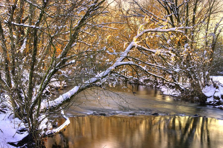 Gold in the Creek B1 - Owens Creek Near Loys Station Covered Bridge - Winter Frederick County MD Photograph by Michael Mazaika