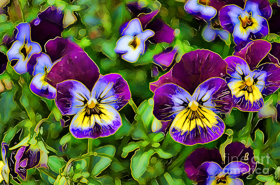 Gold Lining Purple Violets II Photograph by Debbie Portwood