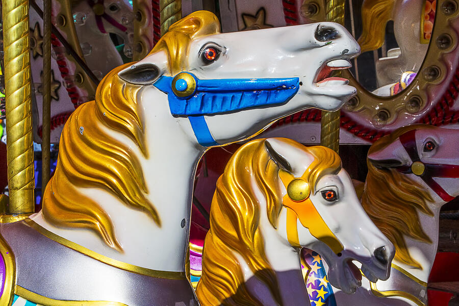 Gold Mane Carrousel Horse Photograph by Garry Gay