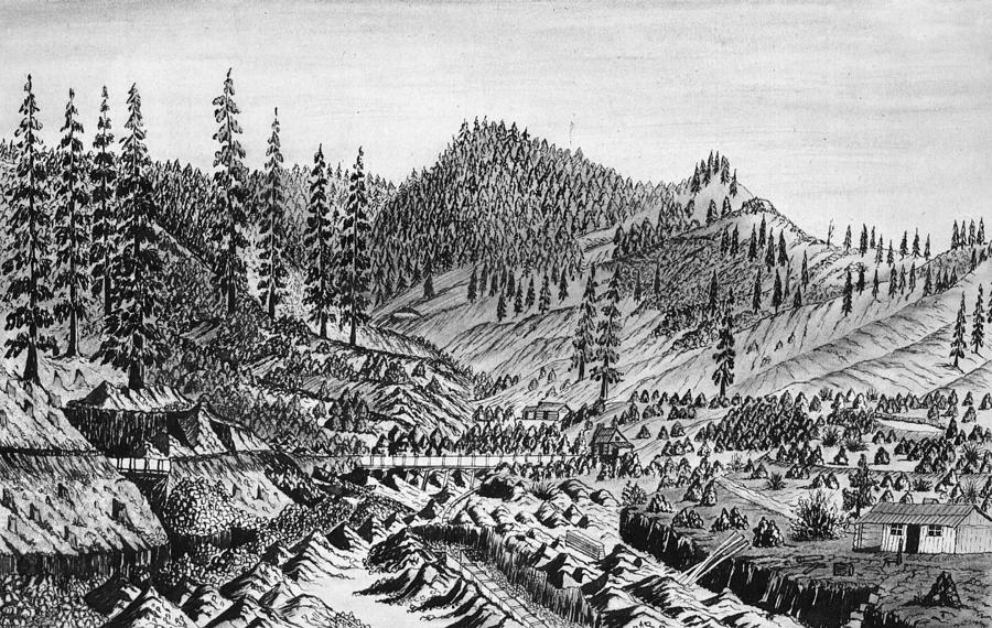 Gold Mine, 1860 Drawing by Granger Fine Art America