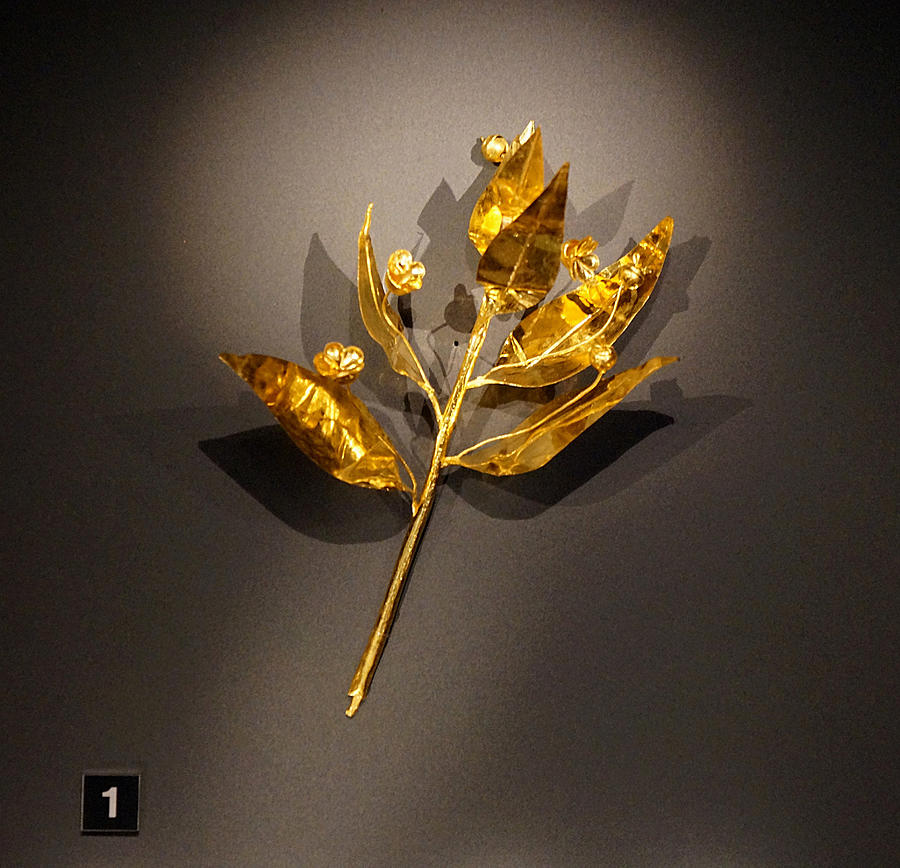 Gold myrtle branch Photograph by Andonis Katanos
