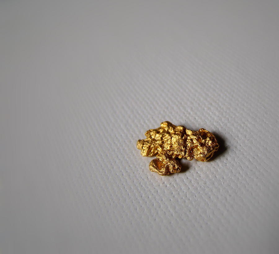 Gold Nugget Photograph by Nick Kloepping