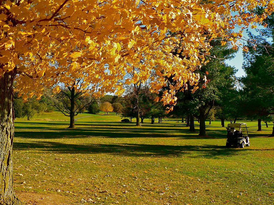 Gold on the Golf Course Photograph by Jean Wright
