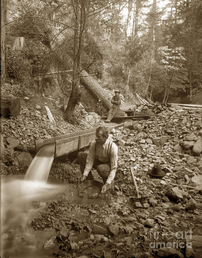 California Photograph - Gold Prospector  panning for Gold California Circa 1900 by Monterey County Historical Society