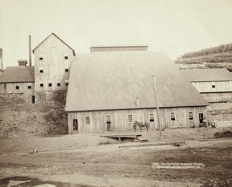 Gold Reduction Works, 1890 Photograph by Granger