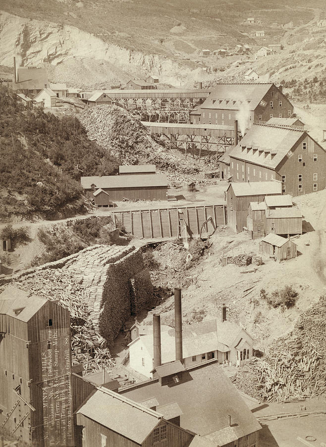 Gold Stamp Mills, 1888 Photograph by Granger
