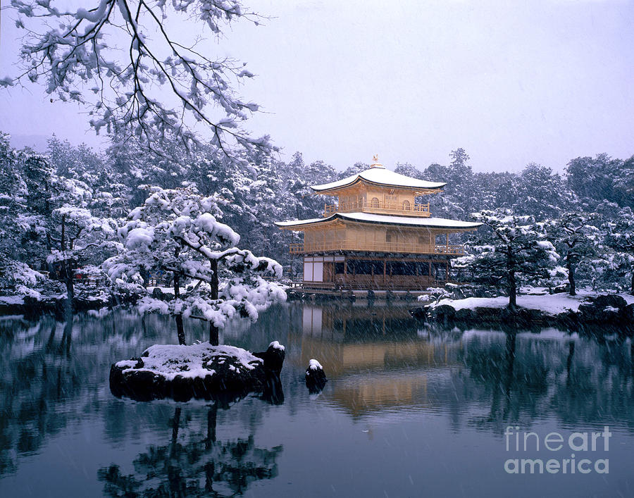 Gold Temple In Kyoto, Japan Photograph by Masao Hayashi