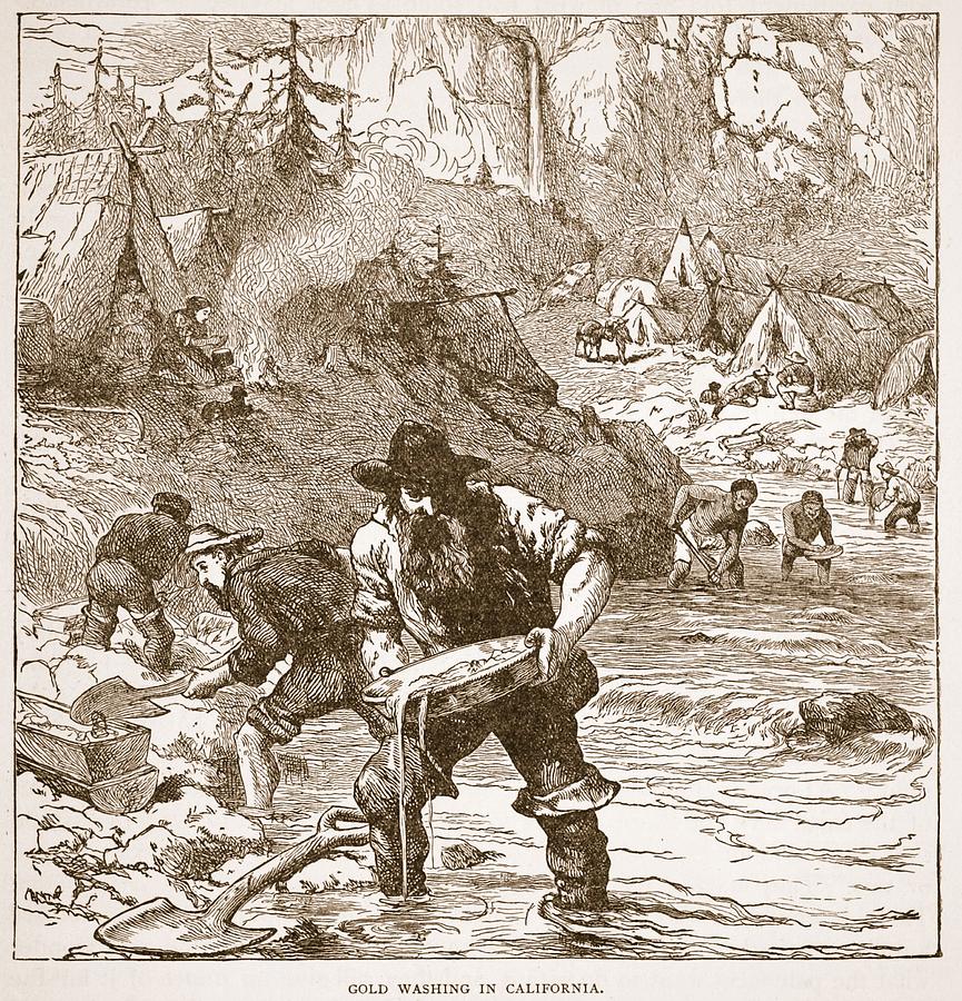 Panning Drawing - Gold Washing In California, From A Book by American School