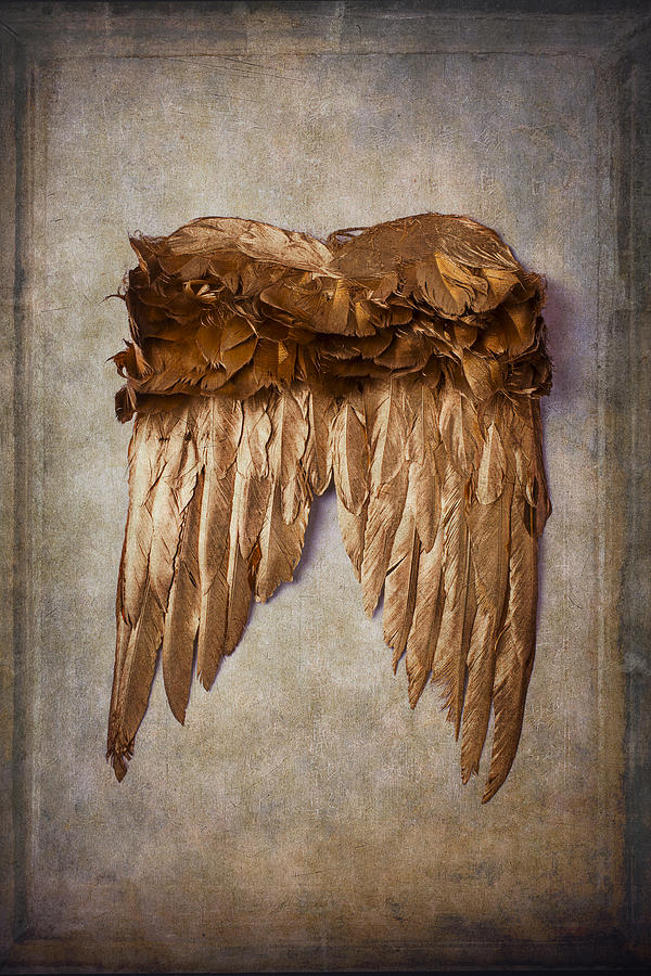 Feather Photograph - Gold Wings by Garry Gay