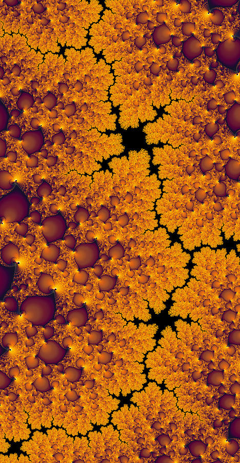Space Digital Art - Golden abstract fractal landscape by Matthias Hauser