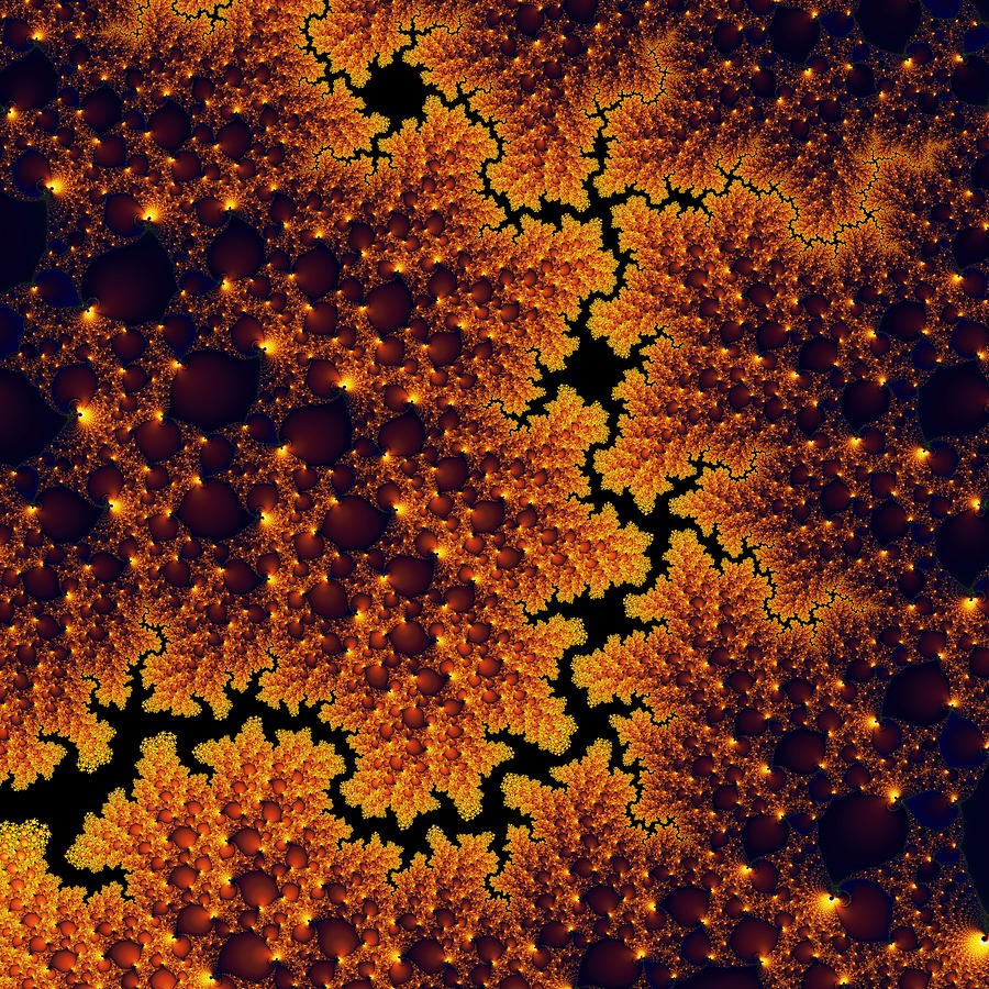 Golden and black fractal universe Digital Art by Matthias Hauser
