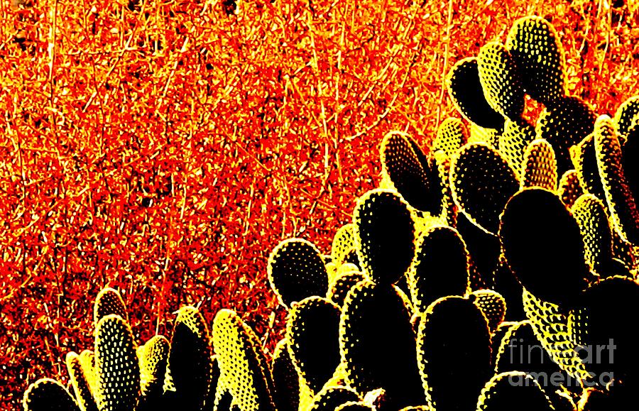 Golden And Cactus Abstract San Dimas Photograph by John King I I I