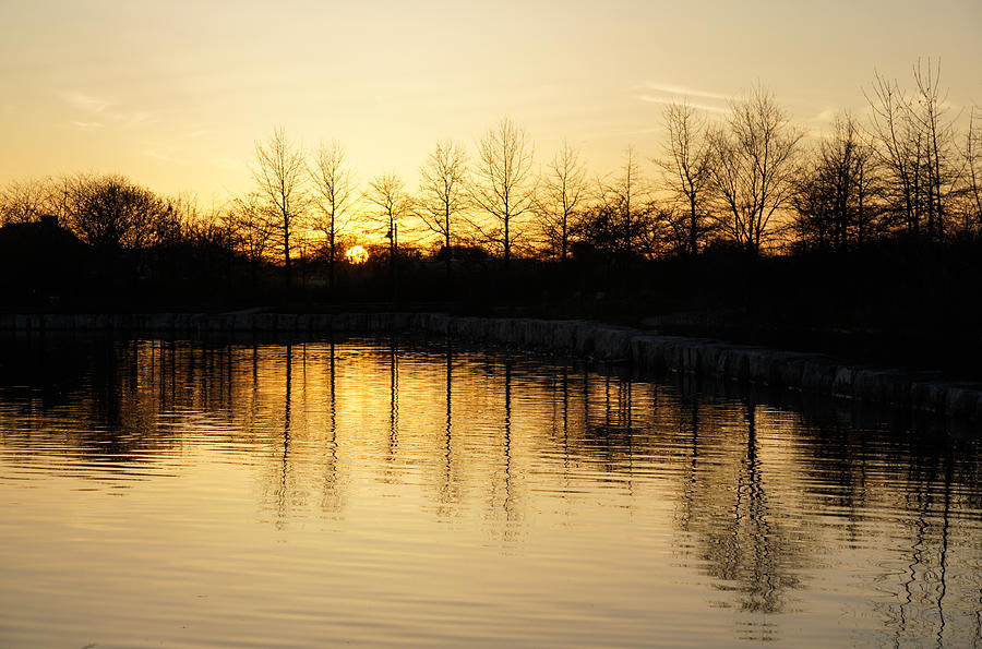 Tree Photograph - Golden and Peaceful - a Sunset on Lake Ontario in Toronto Canada by Georgia Mizuleva