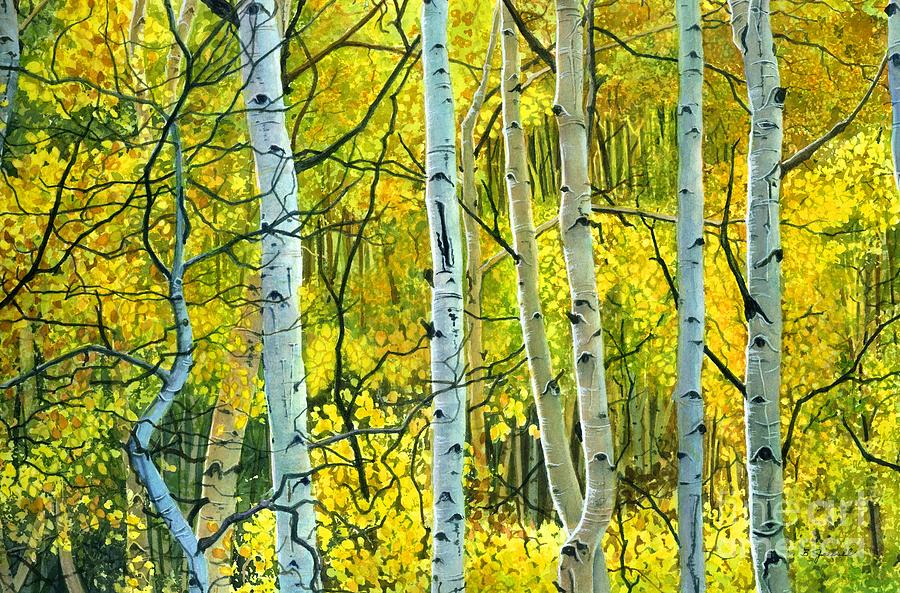 Watercolor Trees Painting - Golden Aspens by Barbara Jewell