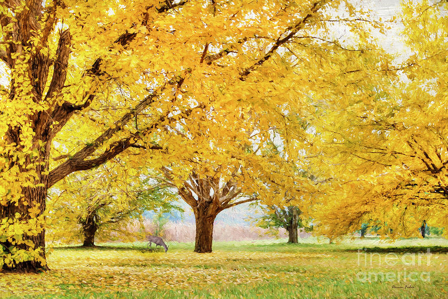 Golden Autumn Photograph