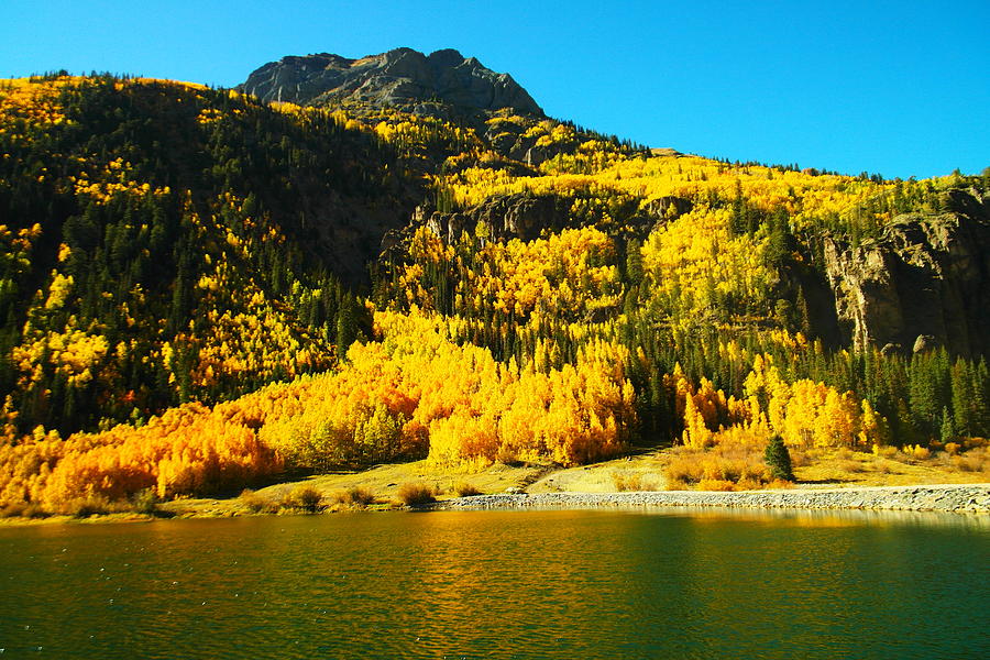 Golden Autumn in Colorado Photograph by Jeff Swan