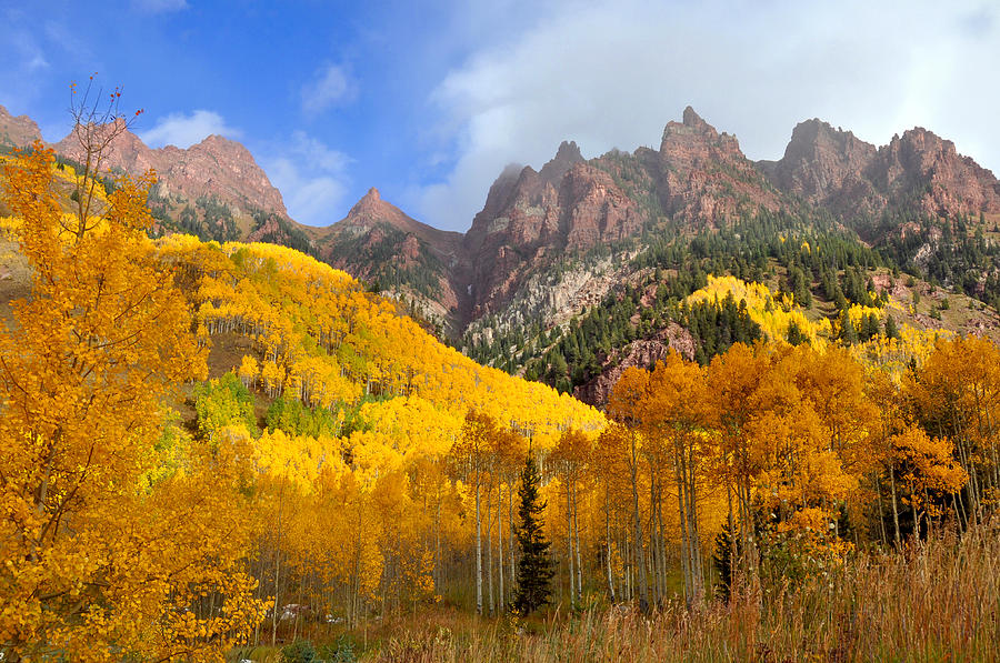 Fall Photograph - Golden Autumn in the Rockies by John Hoffman