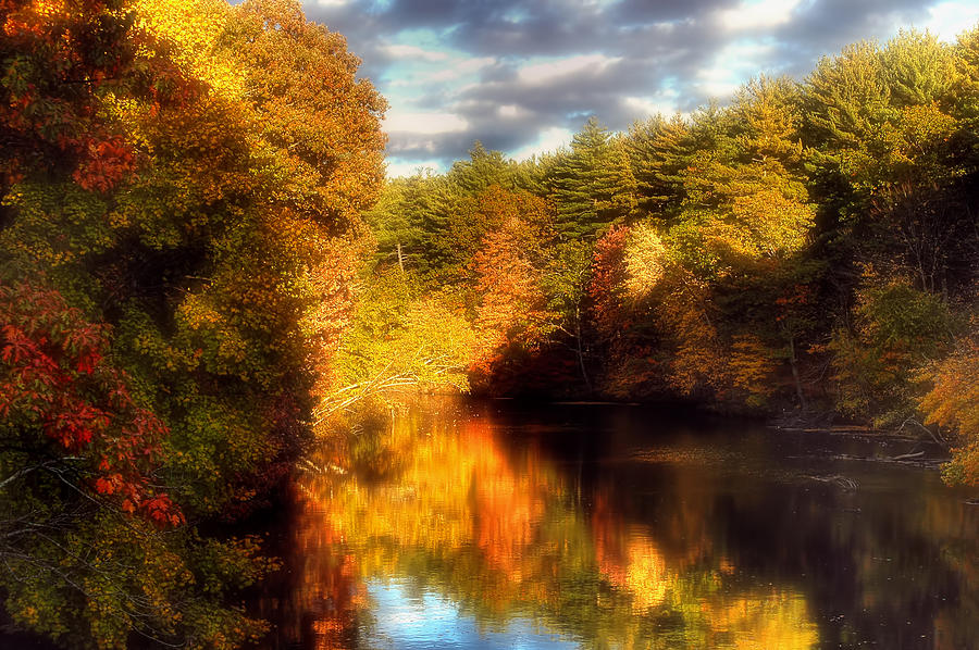 Golden Autumn Photograph by Joann Vitali