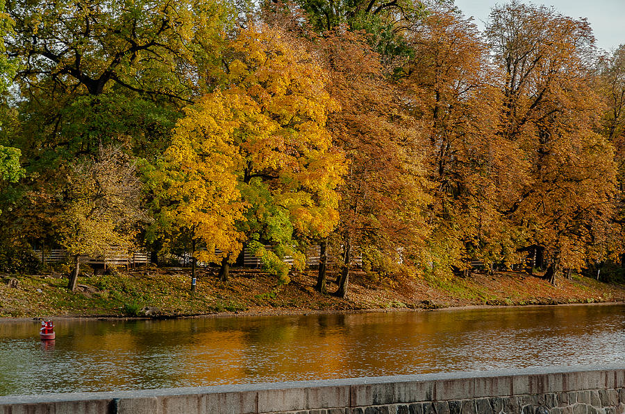 Golden autumn Photograph by Sergey Simanovsky