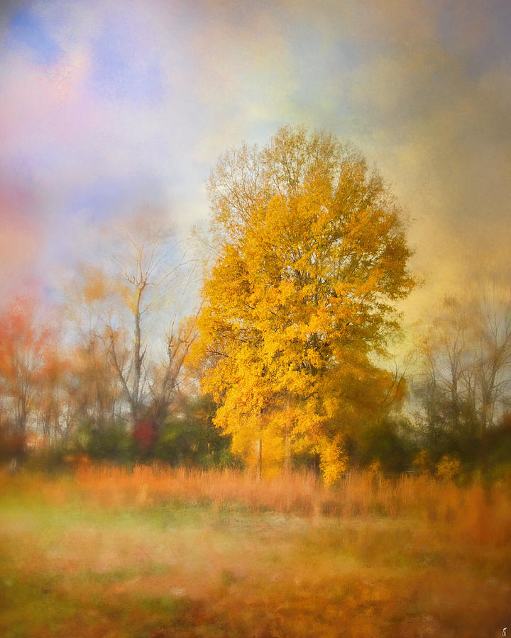 Golden Autumn Splendor - Fall Landscape Photograph by Jai Johnson