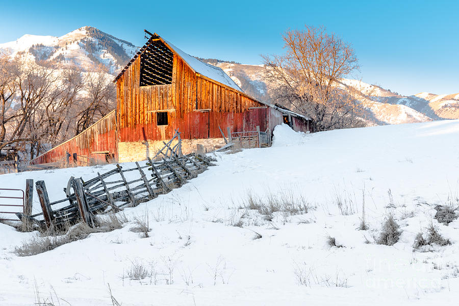 Mountain Photograph - Golden Barn at Sunrise by Nicholas  Pappagallo Jr