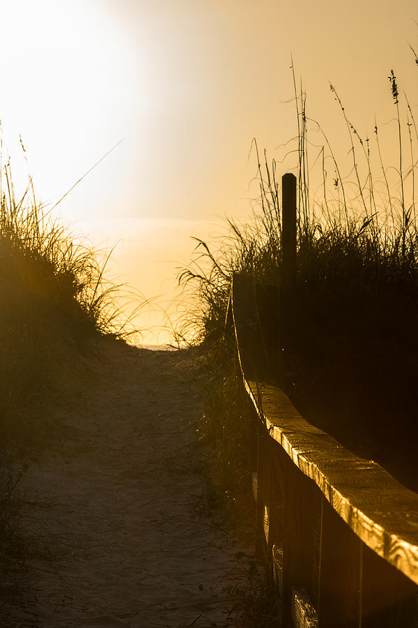 Golden Beach Access Photograph by Ed Gleichman