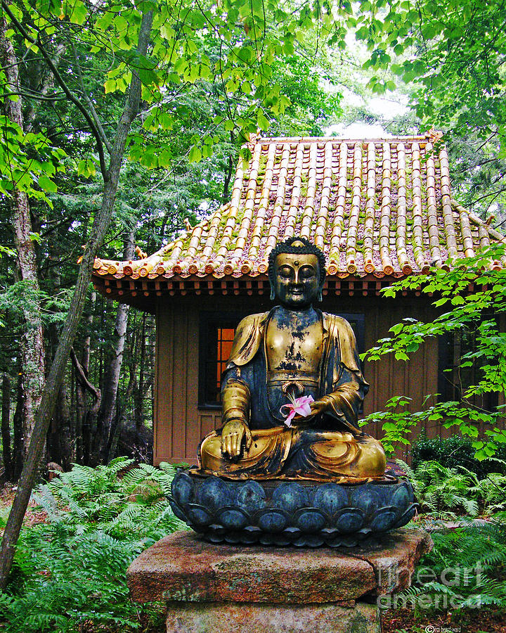 Golden Buddha Abby Aldrich Rockefeller Garden Photograph by Lizi Beard-Ward