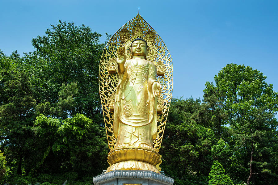 Buddha Photograph - Golden Buddha In The Unesco World by Michael Runkel