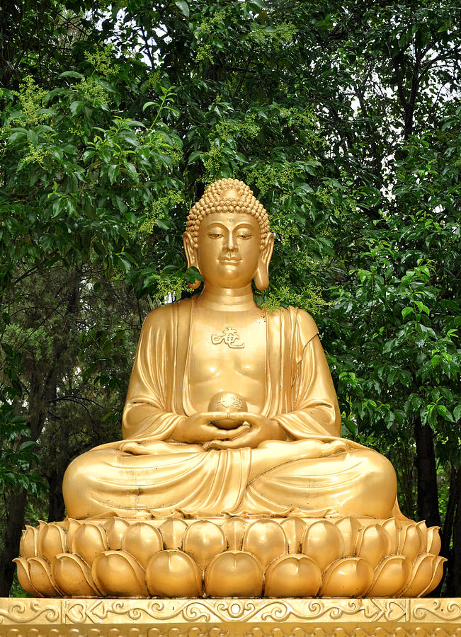 Golden Buddha Statue Meditating Photograph by Bernd Goettlicher | Fine ...