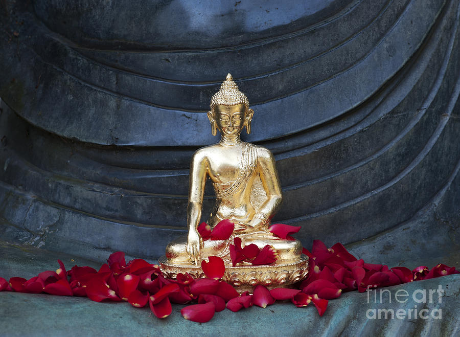 Golden Buddha Photograph by Tim Gainey