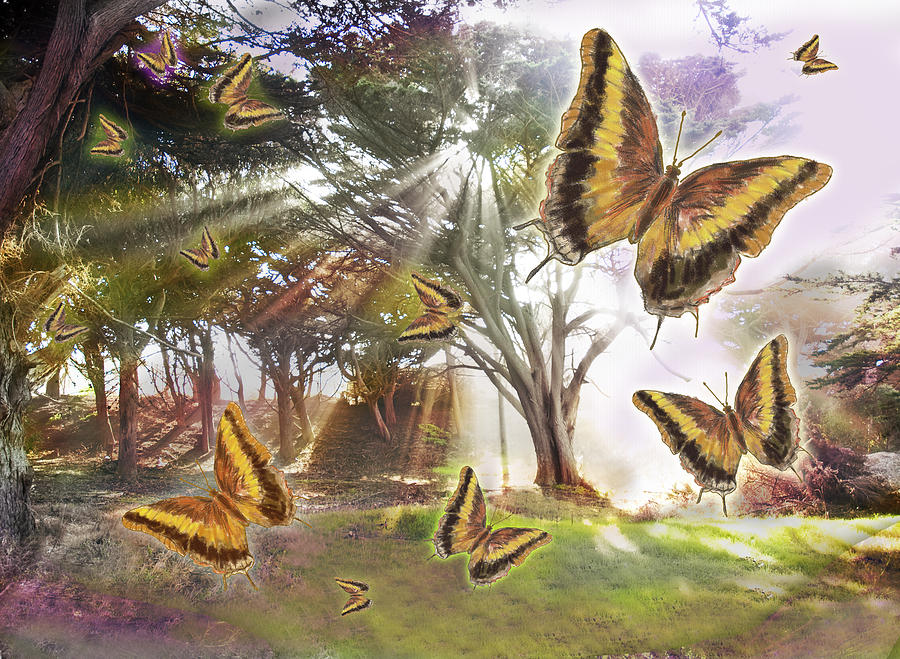 Fantasy Photograph - Golden Butterfly Rays by MGL Meiklejohn Graphics Licensing
