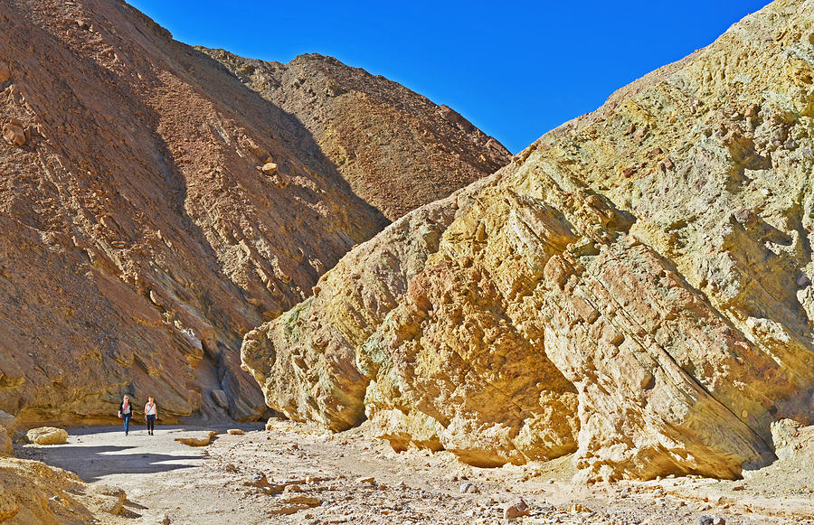Golden Canyon - Death Valley Photograph by Dana Sohr