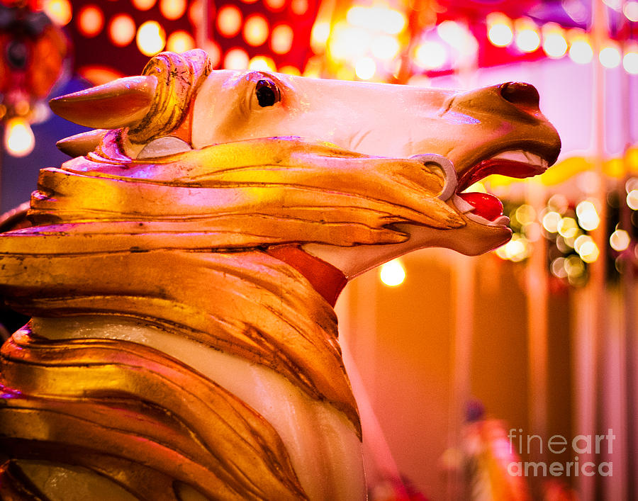 Horse Photograph - Golden Carousel Horse by Sonja Quintero