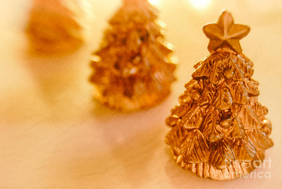 Golden Christmas Trees Photograph by Sabine Jacobs