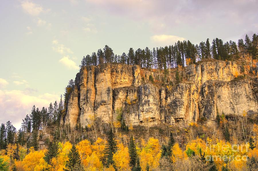 Golden Cliffs Photograph by Anthony Wilkening