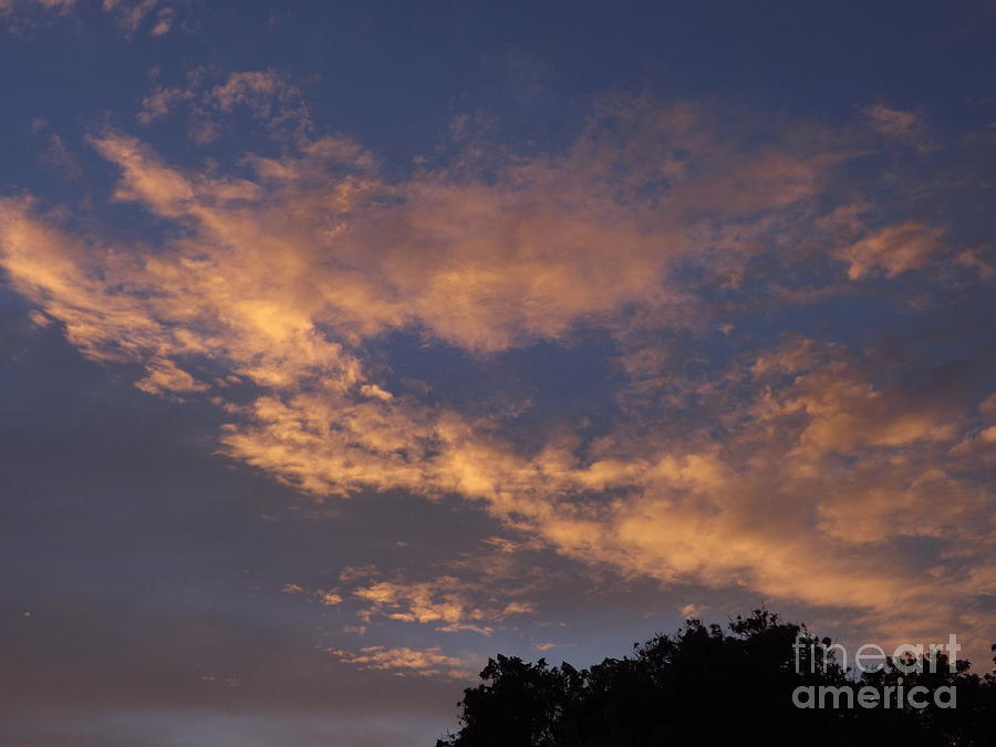 Sunset Photograph - Golden Cloud Sunset by Jussta Jussta