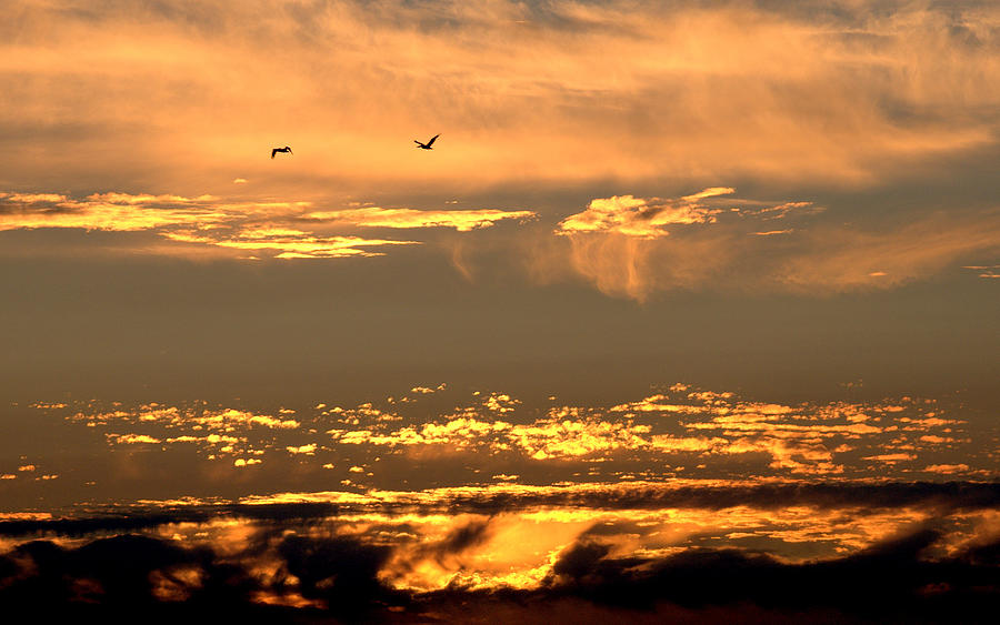 Golden Clouds Photograph by AJ  Schibig