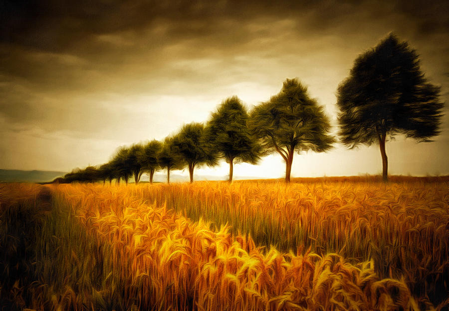 Tree Painting - Golden cornfield with row of trees painting by Matthias Hauser