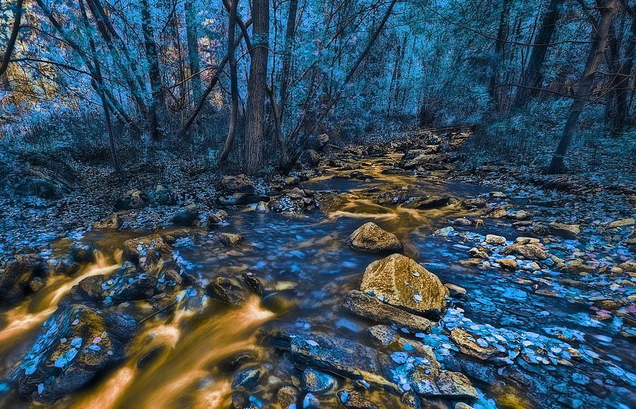 Golden Creek Photograph