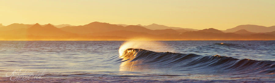 Golden Curl || Byron Bay Photograph by Edwin Emmerick Photography