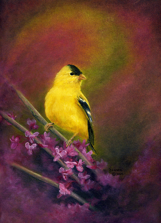 Finch Painting - Golden Dawn by Bonnie Kat